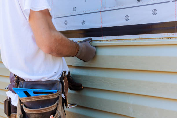 Affordable Siding Repair solutions in Williamsport, OH